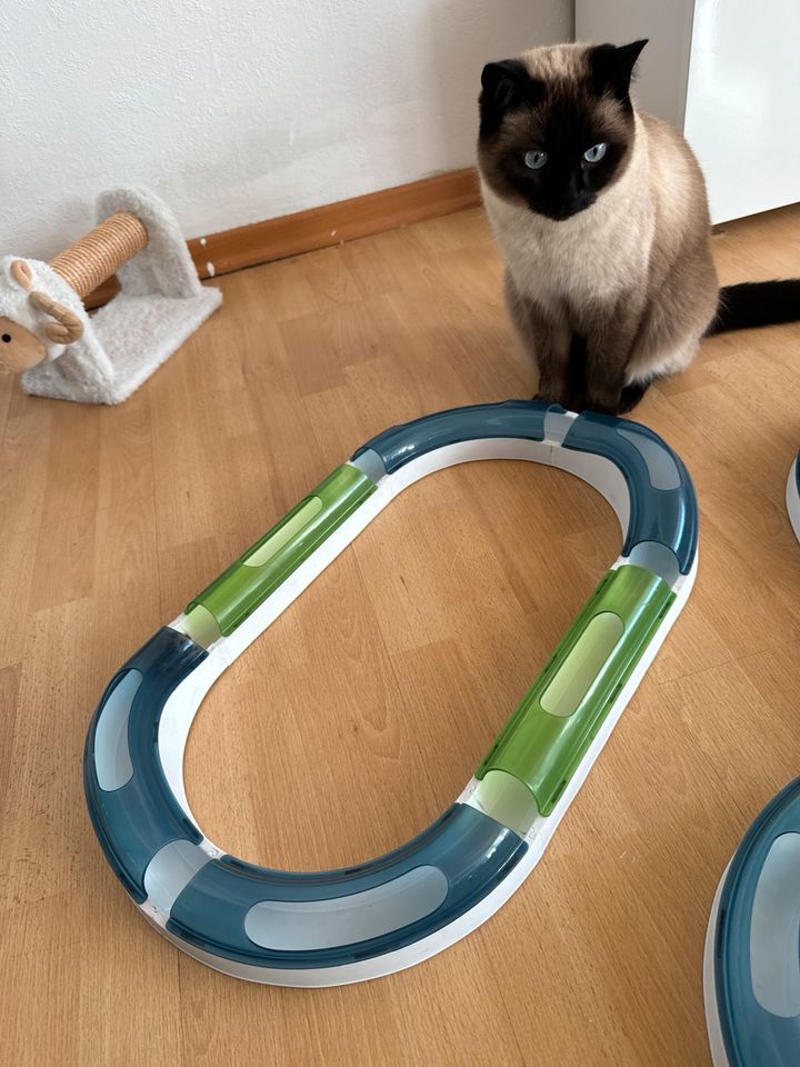 Spielzeug Katze in Wuppertal