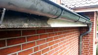 Dachüberstände carport Garage reinigen inkl Imprägnierung Nordrhein-Westfalen - Neuenkirchen Vorschau