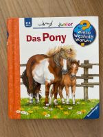 Wieso Weshalb Warum Das Pony 2-4J. Junior Schleswig-Holstein - Ahrensburg Vorschau