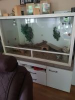 Terrarium, gebraucht, 1,40 x 0,60 x 0,80 Brandenburg - Heidesee Vorschau