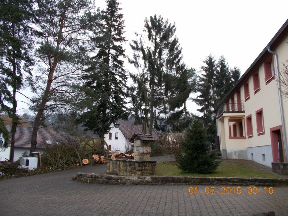 3-Raum-DG Wohnung in ehemal. Gutshof mit Balkon und Loggia in Großrosseln