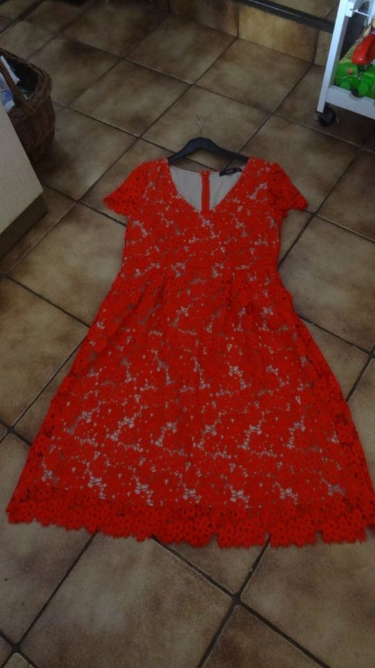 Hallhuber Spitzenkleid Rot Gr. 40 ++NEU++ in Rheinland-Pfalz -  Reichenbach-Steegen | eBay Kleinanzeigen ist jetzt Kleinanzeigen