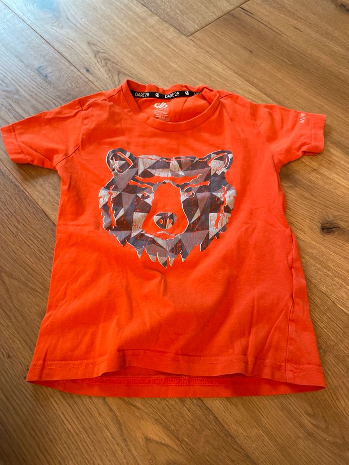 Dare 2B t-Shirt Bärenkopf orange jungen 110/116 in Hannover