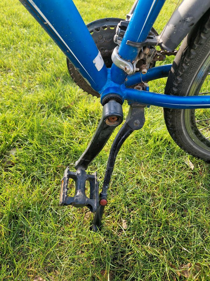 Kalkhoff Fahrrad 26 Zoll blau in Wallenhorst