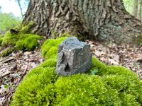 Bonsai Fels Natur 1kg Niedersachsen - Wolfsburg Vorschau