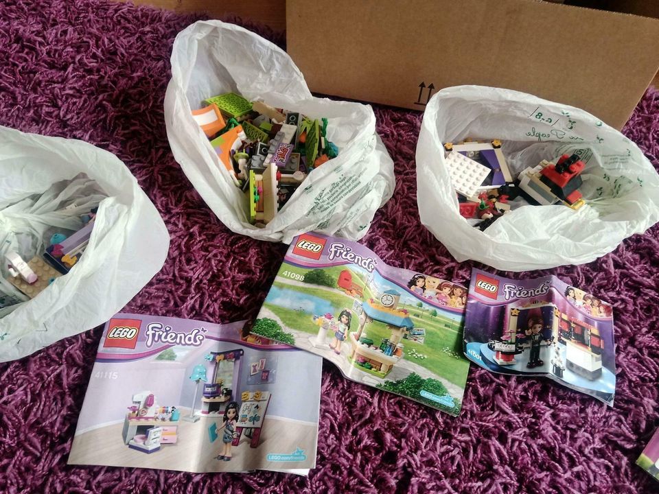 Lego Friends Paketpreis in Steinbach