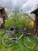 Fahrrad Koga miyata Forest Rh 50 Bayern - Sinzing Vorschau