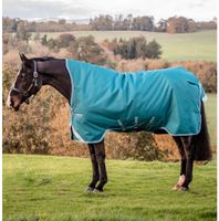 Horseware Amigo Bravo 12 Turnout Wug Lite 0g 165 cm Hessen - Wetzlar Vorschau