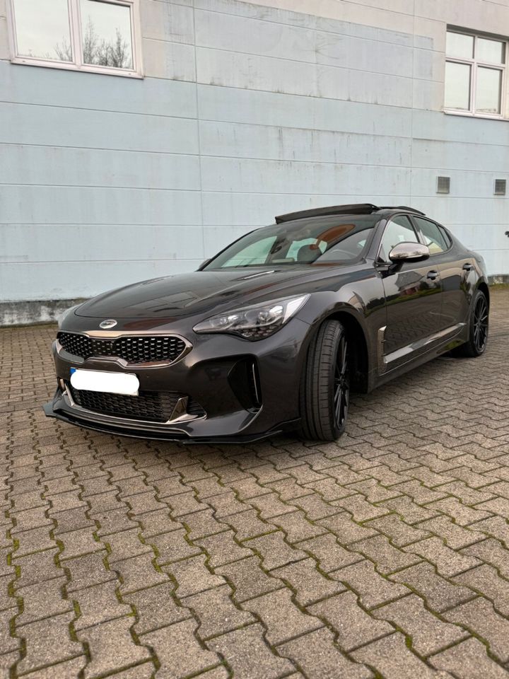 Kia Stinger GT 4WD*PANO*HK*KEY-GO*360°*H-UP*ACC* in Gladbeck