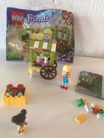 Lego Friends 30413 mit Verpackung und Aufbau Anleitung Hessen - Michelstadt Vorschau
