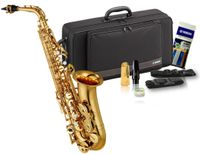 Yamaha Plutus Es - Altsaxophon NEU / OVP - 5 Jahre Garantie Niedersachsen - Hagenburg Vorschau