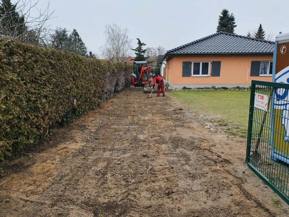 Grundstücksbegradigung  Baggerarbeiten, Erdarbeiten Entsorgung in Michendorf