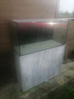 Aquarium 100x40x50 cm mit unterschrank Kr. München - Ismaning Vorschau