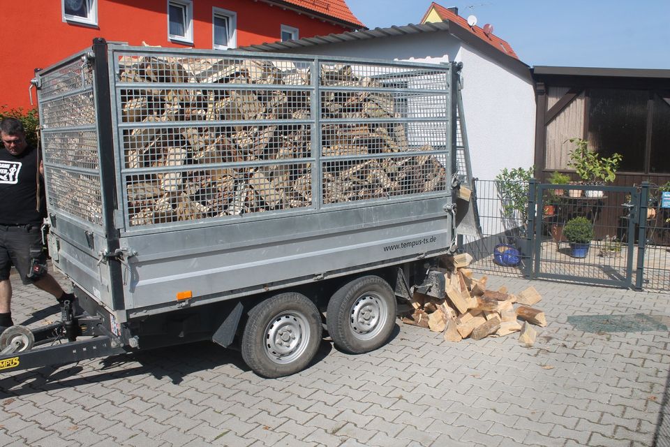 1 SRM Brennholz gratis Neukunden Aktion Weichholz Hartholz Buche in Nürnberg (Mittelfr)