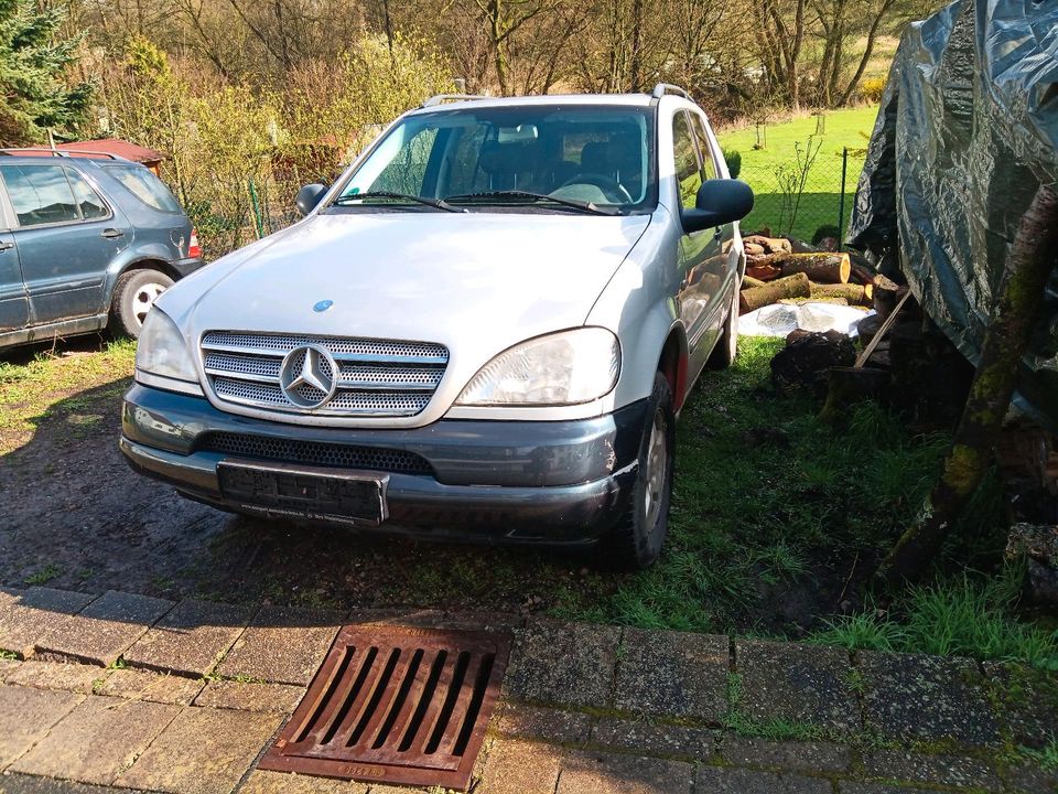 Mercedes Benz ML 320 in Tholey
