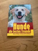 Hunde die besten Freunde Niedersachsen - Harsum Vorschau