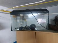 Aquarium 60 x 30 x 30 cm Baden-Württemberg - Tuttlingen Vorschau