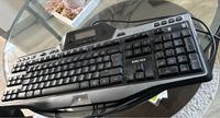 Verkaufe LOGITECH G510 Tastatur. Niedersachsen - Fredenbeck Vorschau