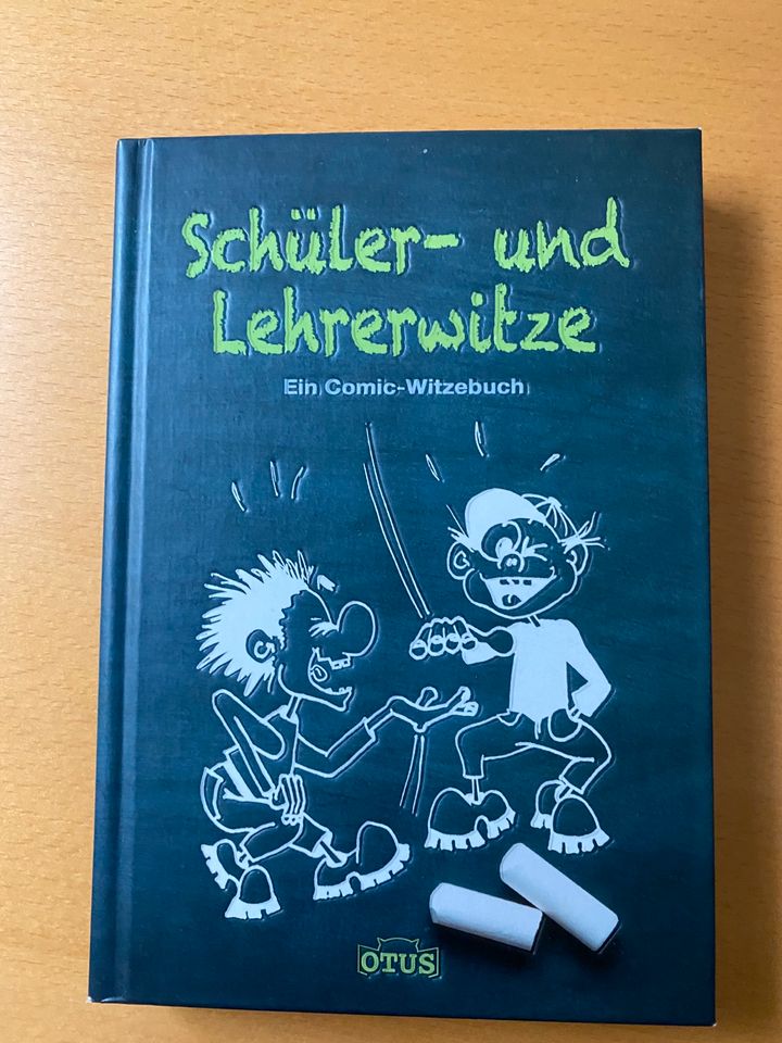 Basteln Buch Papierflieger Schüler Lehrer Witze Muskelkater schnu in Stollberg