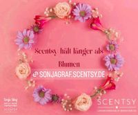 Scentsy Duftblumen ~ Scentsy hält länger als Blumen ~ Beratung Bayern - Triftern Vorschau