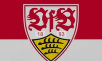 Suche 3-4 Tickets VfB gegen FC Bayern München Baden-Württemberg - Ludwigsburg Vorschau