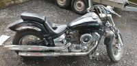 Suche verunfallte Totalschaden Yamaha XVS 1100 Drag Star Unfall Bayern - Pocking Vorschau