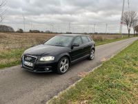 Audi a3 8p 2.0tdi Bi-Xenon usw tüv neu Niedersachsen - Esterwegen Vorschau