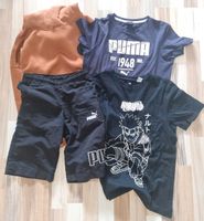 Hoodie T-Shirt kurze Hose Gr 146 Brandenburg - Groß Lindow Vorschau