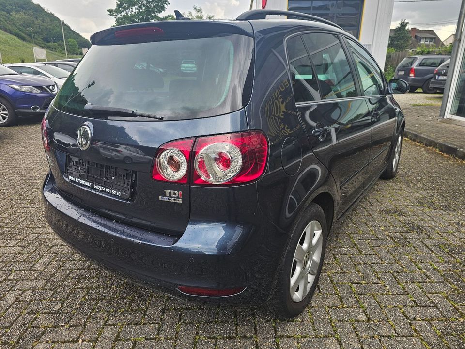 Volkswagen Golf Plus VI Life BMT in Unkel