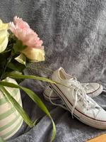 Converse Chucks Brandenburg - Potsdam Vorschau