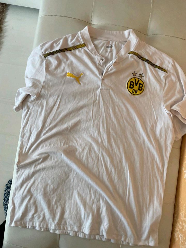 Sehr schönen Puma BVB Dortmund T-Shirt. Xl in Raunheim