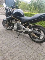 Kawasaki ER6n Nordrhein-Westfalen - Detmold Vorschau