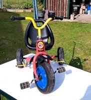 Dreirad,Fahrzeug für Kleinkinder, Spielzeug Mecklenburg-Vorpommern - Klütz Vorschau