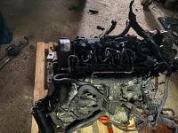 Motor 1,6 TDI Vw Skoda Audi CAYC Bayern - Breitenberg Vorschau