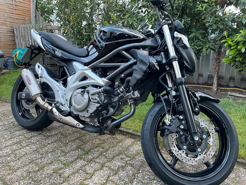 Suzuki Gladius 650 in Karlsruhe