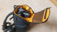 Canon EOS 60d mit 4 Teleobjektive ,Tasche,Stativ Rheinland-Pfalz - Stromberg Vorschau