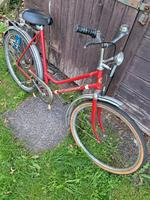Mifa ddr Fahrrad Mecklenburg-Strelitz - Landkreis - Neustrelitz Vorschau
