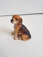 Beagle von 1994 16332 Schleich Niedersachsen - Ostercappeln Vorschau