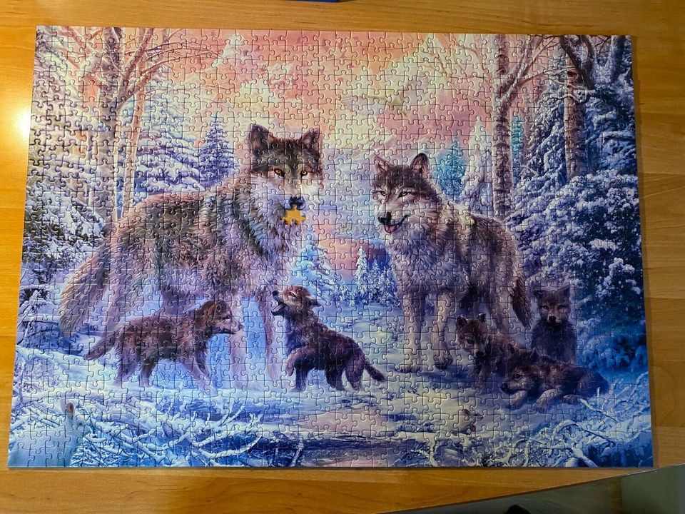 Ravensburger Puzzle - Wolfsrudel - 1000 Teile (1 Fehlteil) in Babenhausen