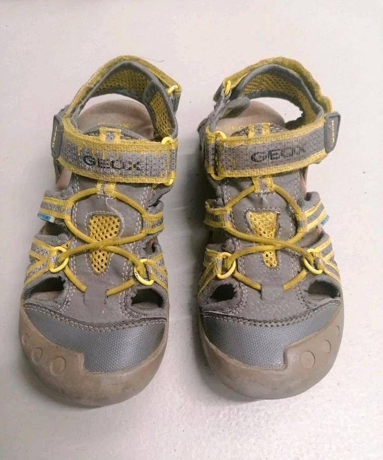 Jungen Sandalen (Geox) in Frankfurt am Main