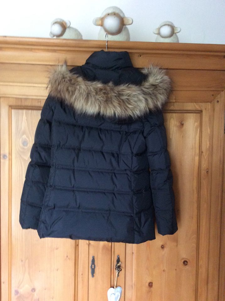 Tommy Hilfiger Winterjacke Gr. M Neu ohne Etikett in Meschede