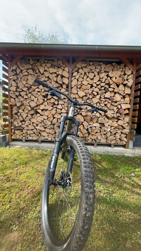 Specialized Stumpjumper evo comp 29 in Föhren bei Trier