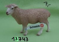 Schleich Schaf, Lamm, Ziegen, Mini Schwein, Kalb Wuppertal - Oberbarmen Vorschau