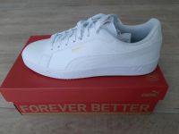 Puma Schuhe Herren weiß Grounded SL White Gold 43 Neu OVP Nordrhein-Westfalen - Stadtlohn Vorschau