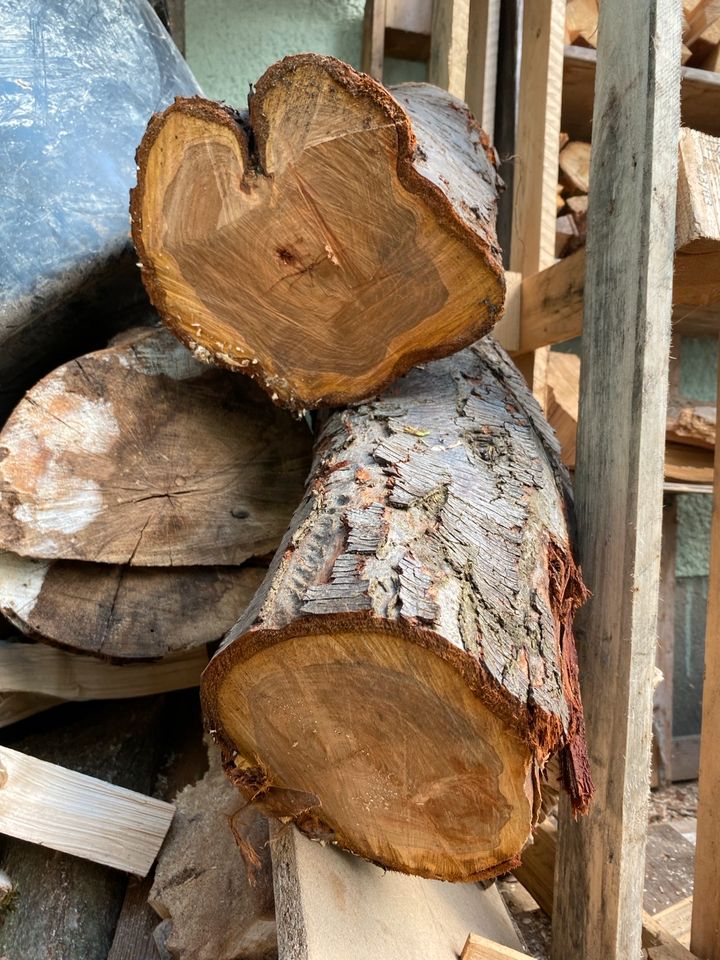 Holz/ Drechseln Pflaumen Holtz Prunus domestica in Laußnitz