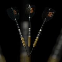 TARGET RVB 95 G2 STEELDARTS Bayern - Kissing Vorschau