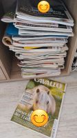 Cavallo Zeitschriften Paket Baden-Württemberg - Kenzingen Vorschau