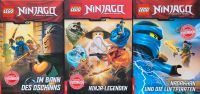 3 x LEGO Ninjago Erstlesebücher - wie neu! - Ninja-Legenden u.a. Wandsbek - Hamburg Bergstedt Vorschau