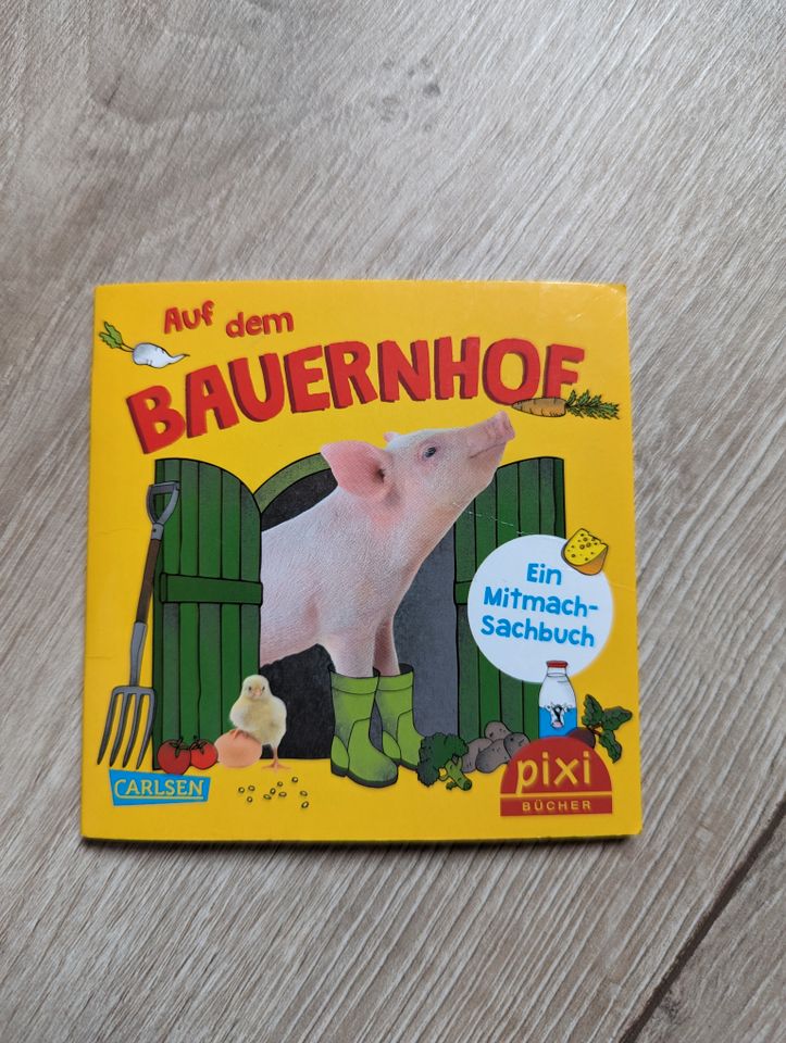 Pixi Buch Bücher Maxi Buch verschiedene in Weitramsdorf