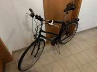 Damenrad Cityrad Gudereit RC-30 Fahrrad Bochum - Bochum-Ost Vorschau